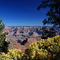 Arizona's  image