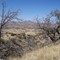 Arizona Trail from Oak Tree Canyon