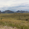 Grasslands around Sonoita, AZ