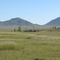 Elgin Vineyard