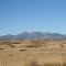 Santa Rita Mts. from Highway 83