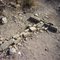 Crumbled cross of Angelita