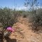 In the Smiley's desert