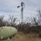 Windmill near Drew's Station