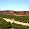 Chasing the Colorado River in Arizona
