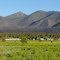 Schultz Burn, San Francisco Peaks, Arizona