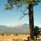 Mount St. Francisco volcano