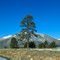 MOUNTAIN VIEW FROM I-40. NEAR FLAGSTAFF, ARIZONA.