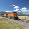 BNSF train passing Rain Valley Meadow