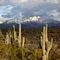 Snow capped Four Peaks