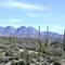 Three Saguaro, Four Peaks
