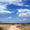Prescott , AZ