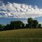 Ridge Landscape
