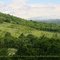 Ridgeside