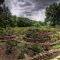 Windsor Farm Rose Garden View