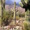 Sabino Canyon, Tucson, AZ