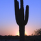 Phoenix Sunset