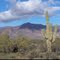 Saguaro Cactus and the Superstition Mountains, Pinal County, Arizona