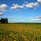 Wisconsin's Tuscany