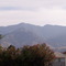 Mount Graham1
