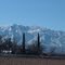 Mt. Graham