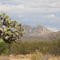 Arizona