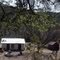Power's Garden, Galiuro Wilderness, AZ