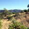 East flank Galiuro Mtns from Deer Creek
