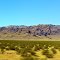 near Mt Perkins
