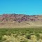 dolan springs