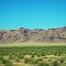 dolan springs