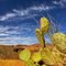 Along the Apache Trail