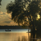 Fishing on Lake Waubesa in Babcock Park -McFarland, WI