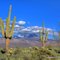 Desert scene with Four Peaks