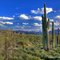 Arizona desert