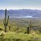 Saguaro Lake in the distance