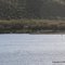 Picnic area across the lake