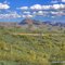Arizona desert