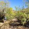 Hackberry Springs Hike 20 (Roger)