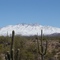 Four Peaks, Arizona