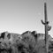 Superstition Moon