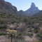 Superstition Wilderness: Weavers Needle
