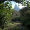 Superstition Wilderness