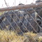 petroglyphs