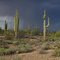 Thunder Storm, White Tank Regional Park, AZ