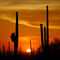 Ritz-Carlton, Dove Mountain Sunset