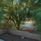 Near Marana, Arizona
