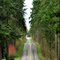 Road in Sequim