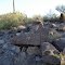 Petroglyphs in Calamity Wash