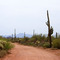 Another beartiful day in the Desert